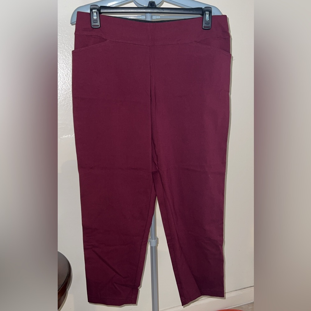 George Burgundy Petite Pants 1X